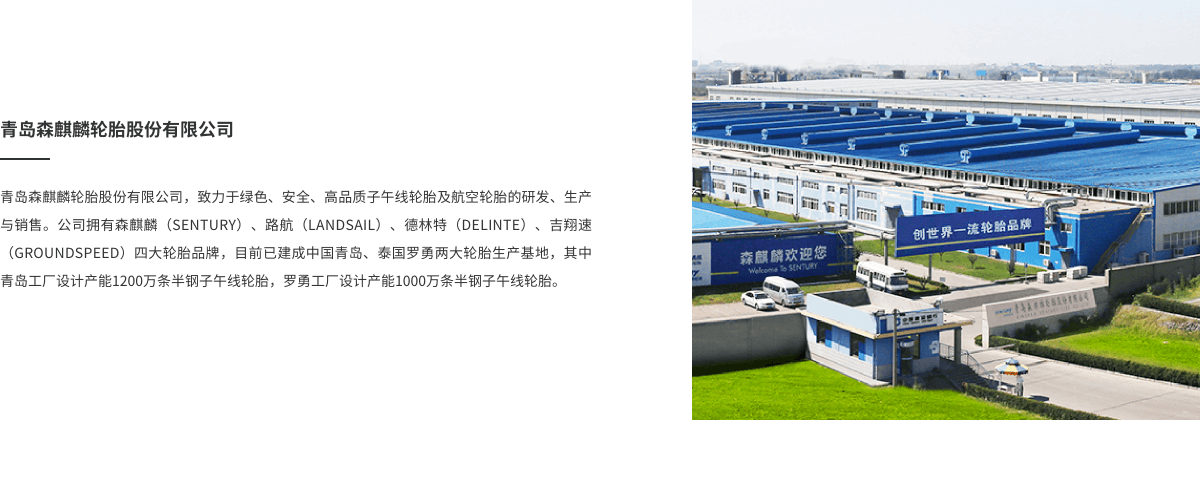 lewin乐玩公司介绍